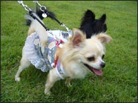 �`���R���񁕂��������