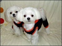 KAI����&RIKU����