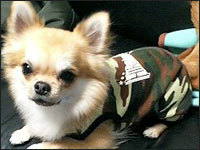 �J�m������