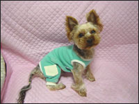 ������(�肸��)����