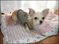 ���S����