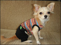 ���S����