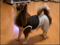 �����Y����