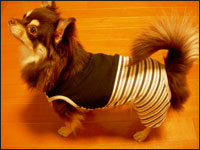 �����Y����