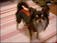 �����Y����