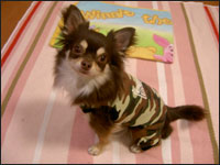 �����Y����