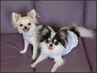 ���~����񁕏��������