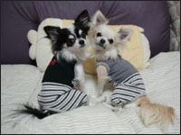 ���~����񁕏��������