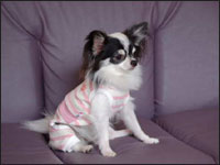 ���~�����