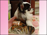 ���~�����