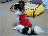 ���~�����