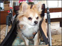 �N�[����