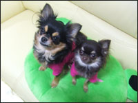 ����邿��񁕂߂�邿���