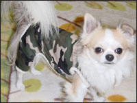 ���X�e�B����