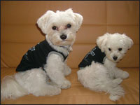 �}��������DON����