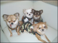 �݂邭����񁕂�񂿂�񁕂�炿��񁕂����낿���