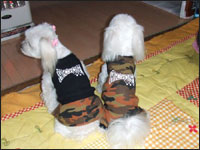 MOCA�����RIKU����