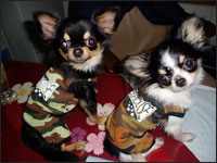 ��������񁕗R�P�����