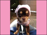 �j�������