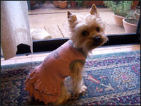 �s�[�`�����