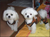 RIKU����KAI����