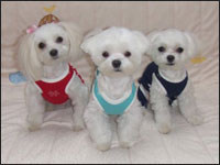 RIKU����&MOCA�����&KAI����