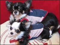 ���r������񁕃V���f�B�[�����