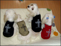 SAM�N��ƒj�g