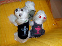 SAM����&MELL�����&KAI����