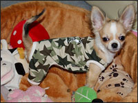 ����̂�������