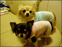 ���炭�񁕂����������