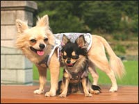 �󂭂񁕖��������