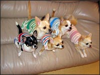 �}���A����񁕃����A����񁕃A�[�W���N���e��(�p�p)�N���e�B�A��(�}�})�����