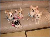 �}���A����񁕃����A����񁕃A�[�W���N���e��(�p�p)�N���e�B�A��(�}�})�����