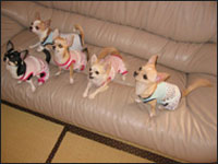 �}���A����񁕃����A����񁕃A�[�W���N���e��(�p�p)�N���e�B�A��(�}�})�����