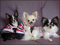 ���~����񁕏�������񁕙z�����