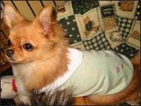 �A�C�����