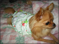 �A�C�����