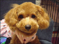 �A���n�����