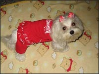 �A���i�����