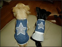 ���炭�񁕂����������