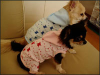 ���炭�񁕂����������