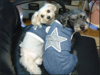 �o�������񁕕�������