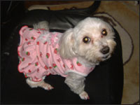 �o��������