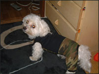 �o��������