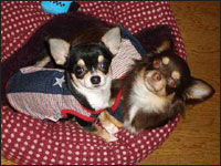 �o�Y����񁕃j�������