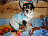 �o�Y�����