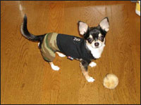 �o�Y�����