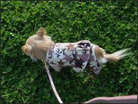 �x�������