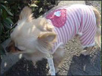 �x�������